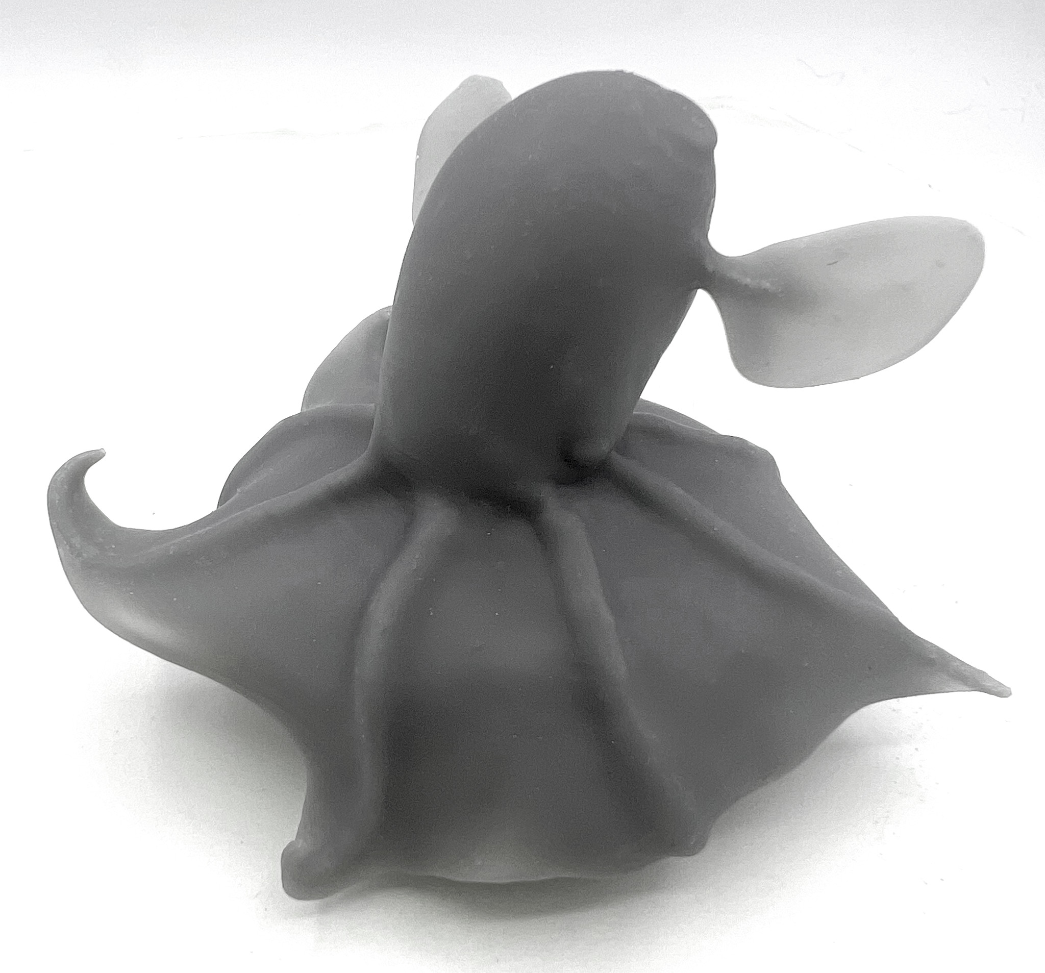 3d Print of Dumbo Octopus model