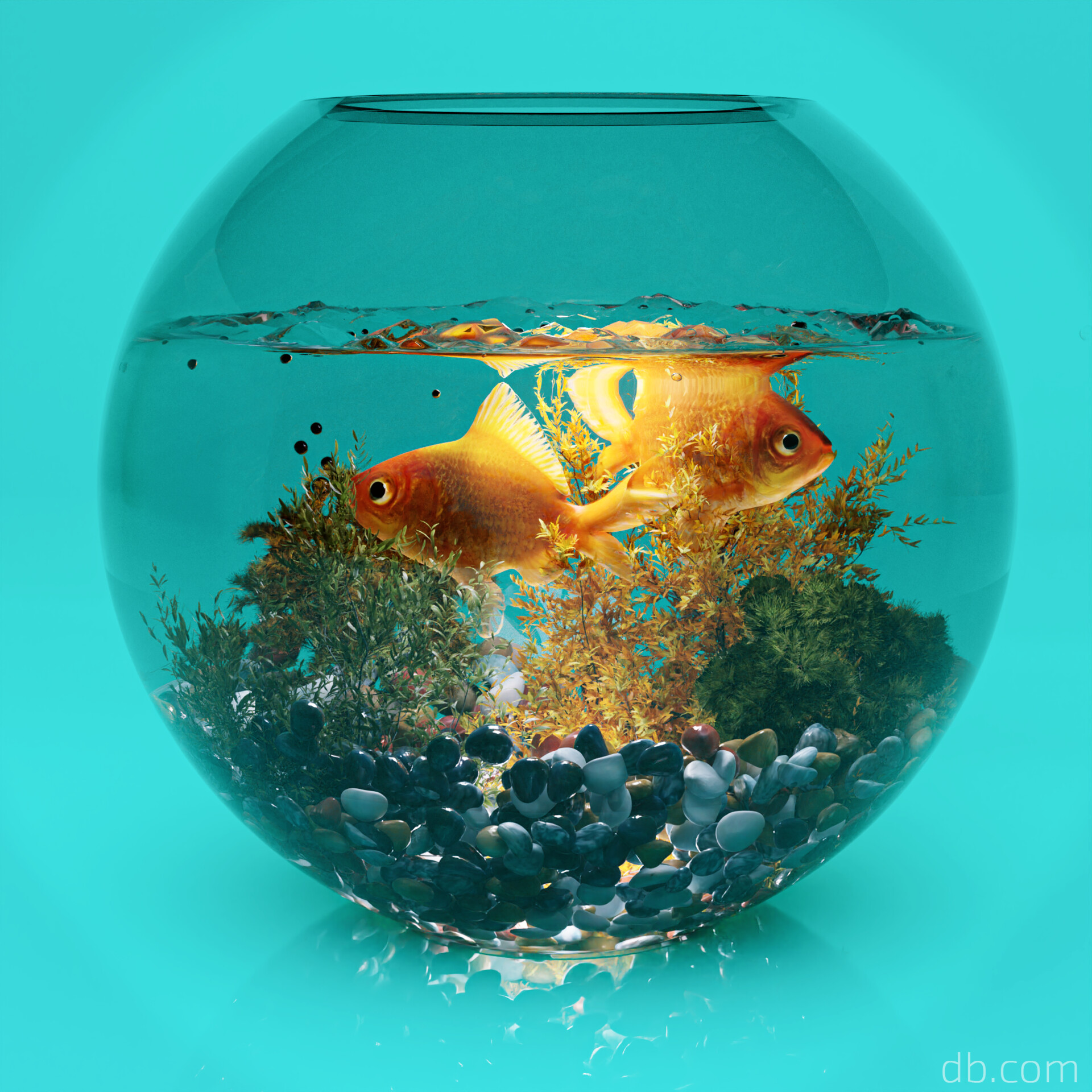 artstation-fish-bowl