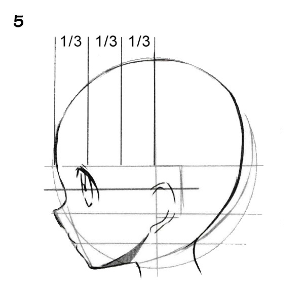 How To Draw Anime  Um facial proportions  Facebook