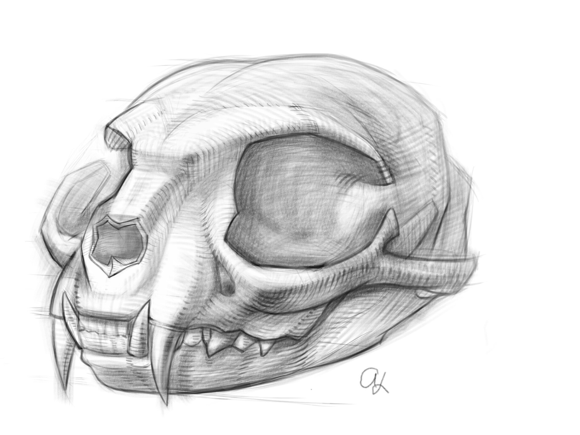 How to Draw a Cat Skull - Really Easy Drawing Tutorial