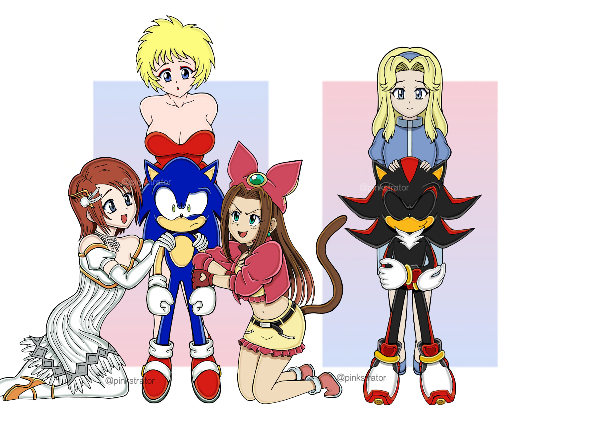 SONIC (Sonic X) VS SHADOW (Sonic X)
