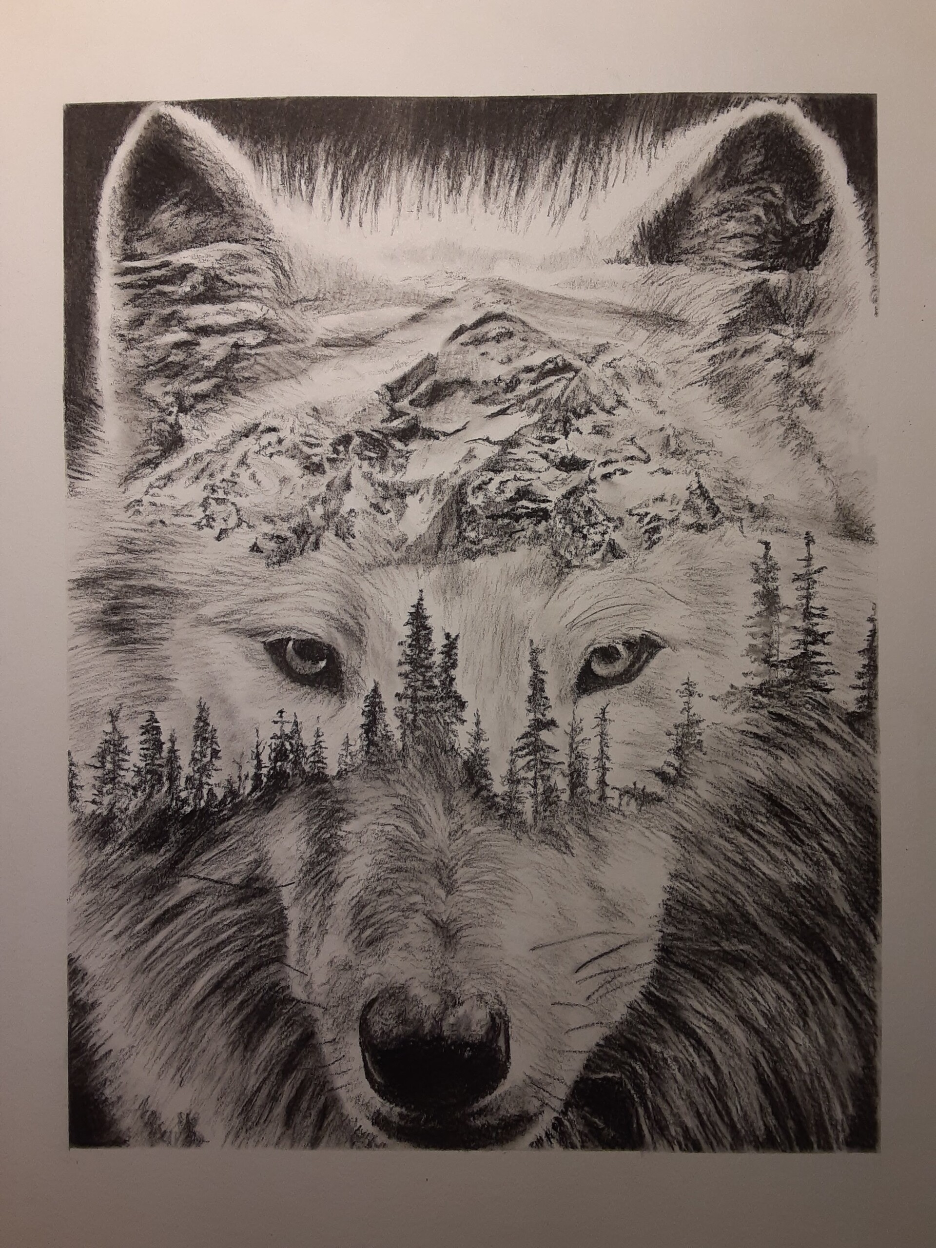 ArtStation - Charcoal drawing of The Wolf