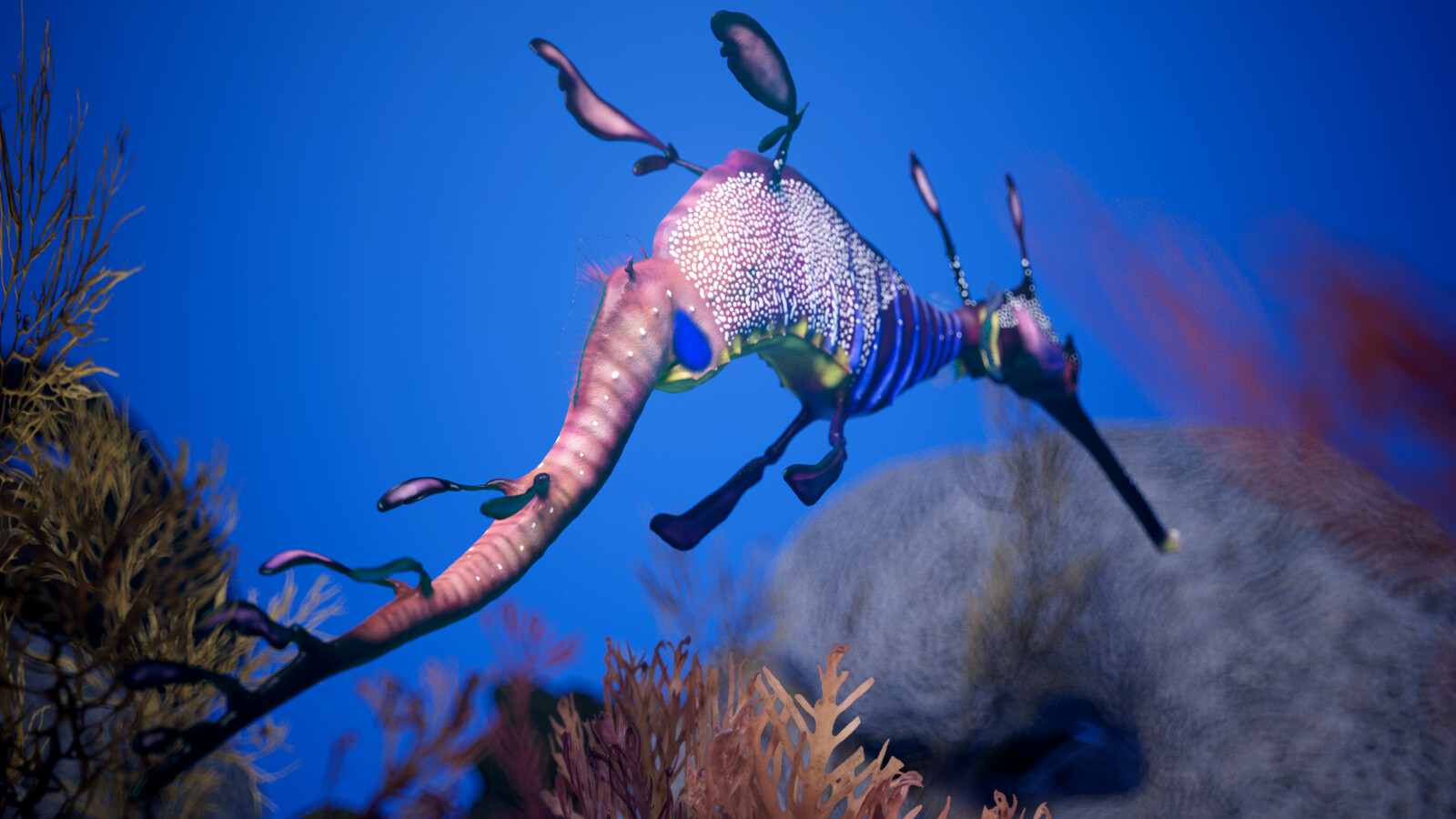 Sea Dragon rendered in Redshift for Maya