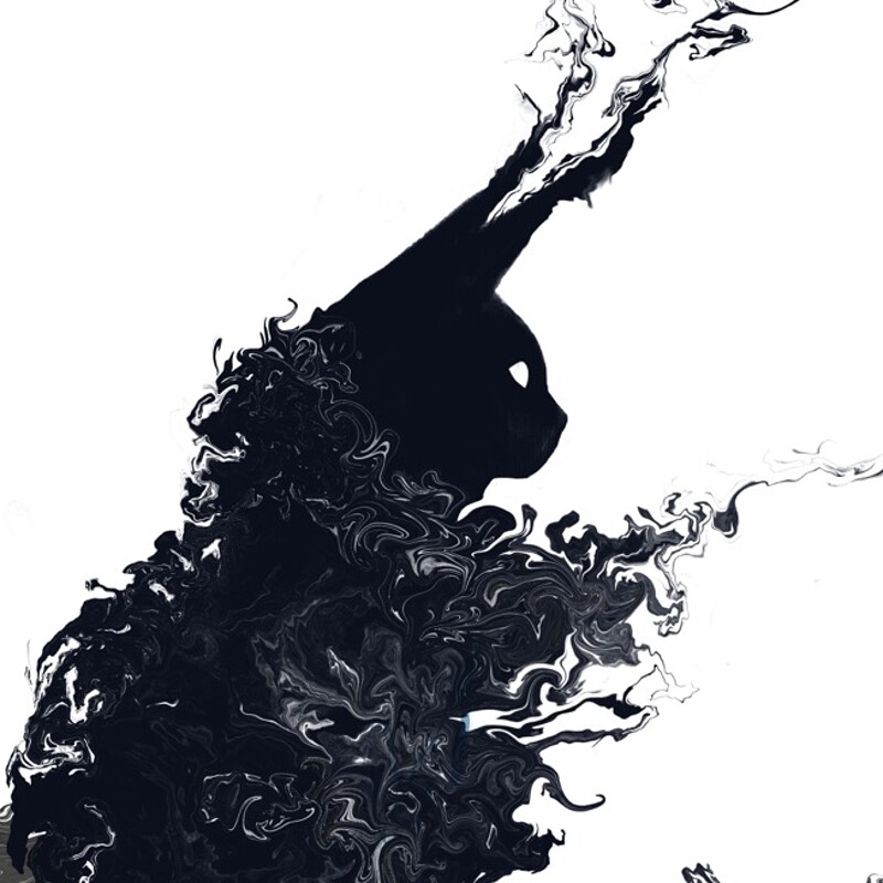 Fracture #11