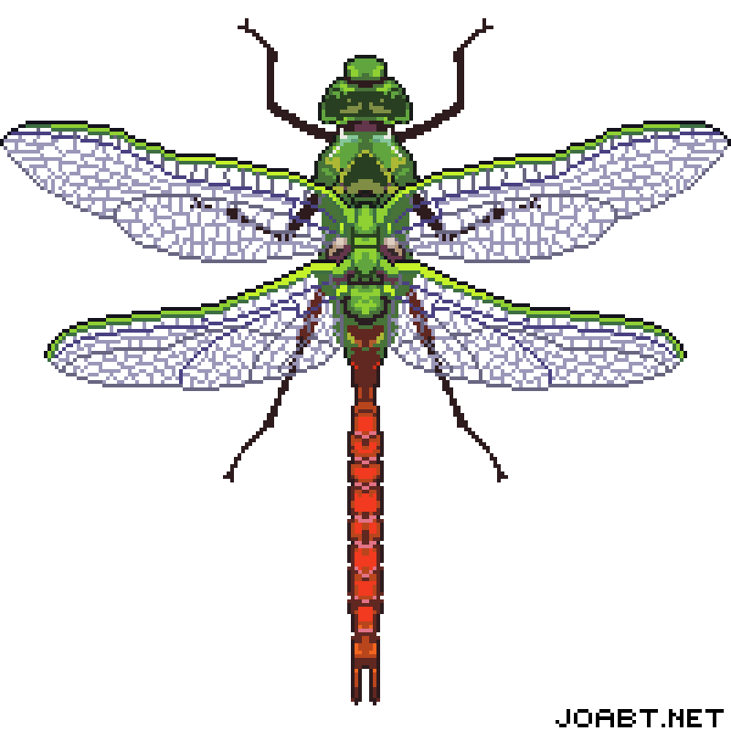 ArtStation - 20220523 pixel dragonfly