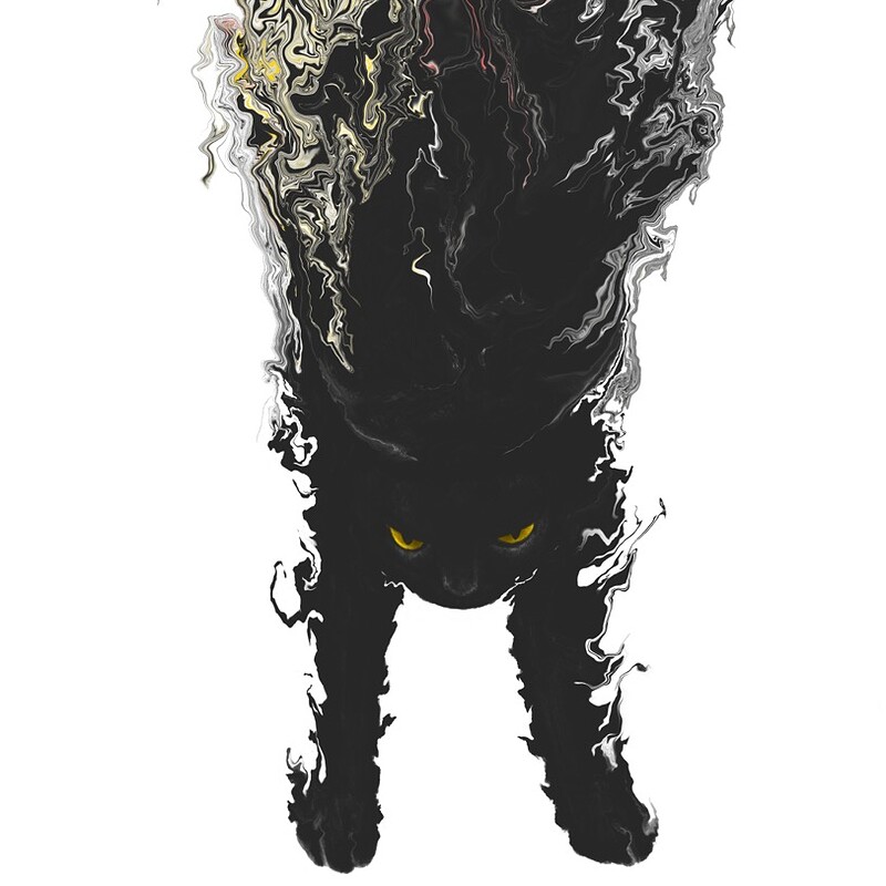 Fracture #12