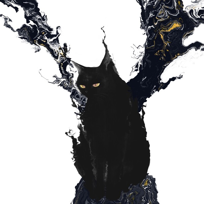 Fracture #15