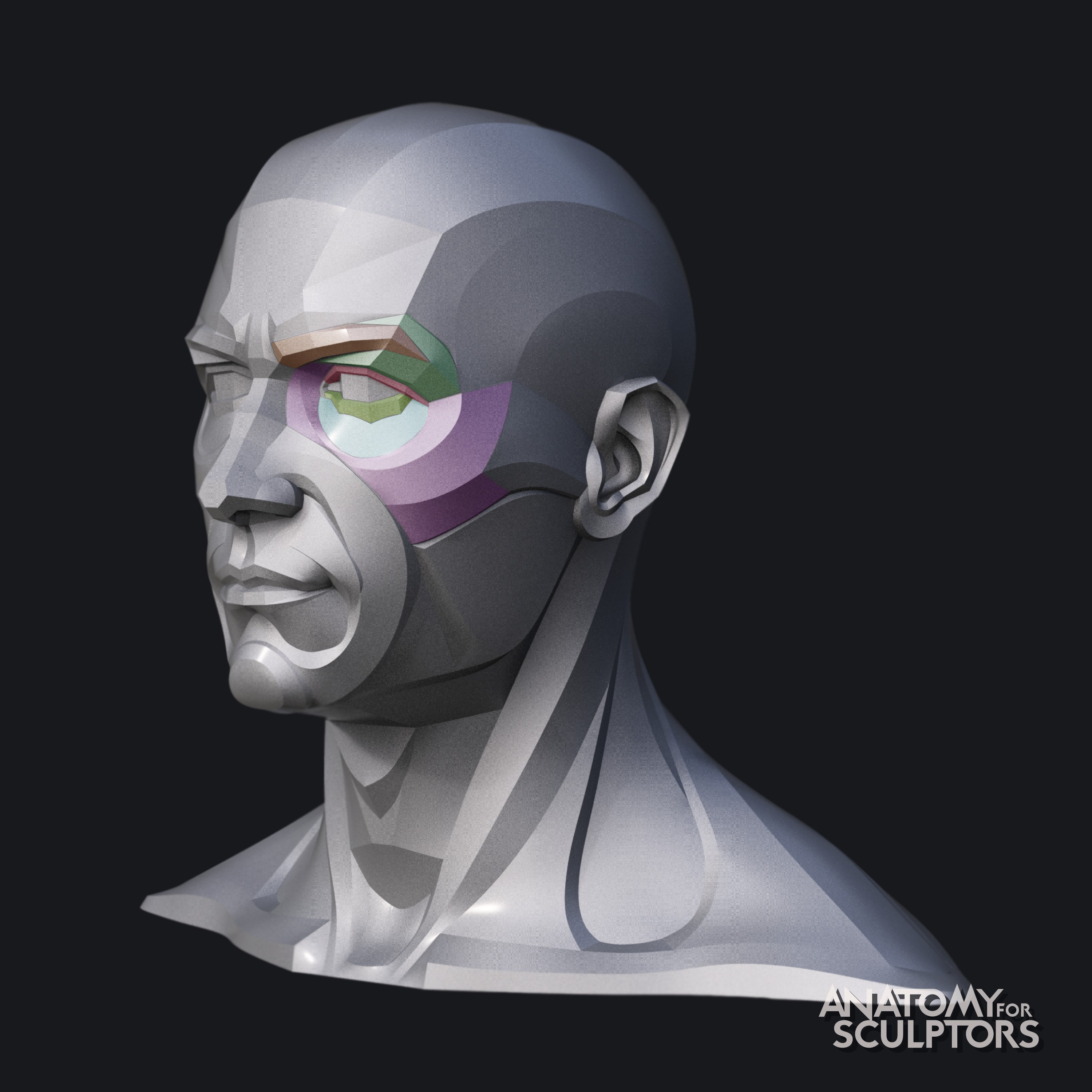 Anatomy For Sculptors Male Head 3d Model Block Out