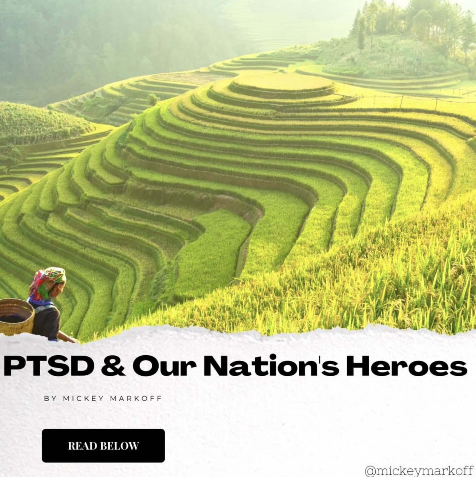 Mickey Markoff - Air and Sea Show Executive Producer - “PTSD &amp; Our Nation’s Heroes”
