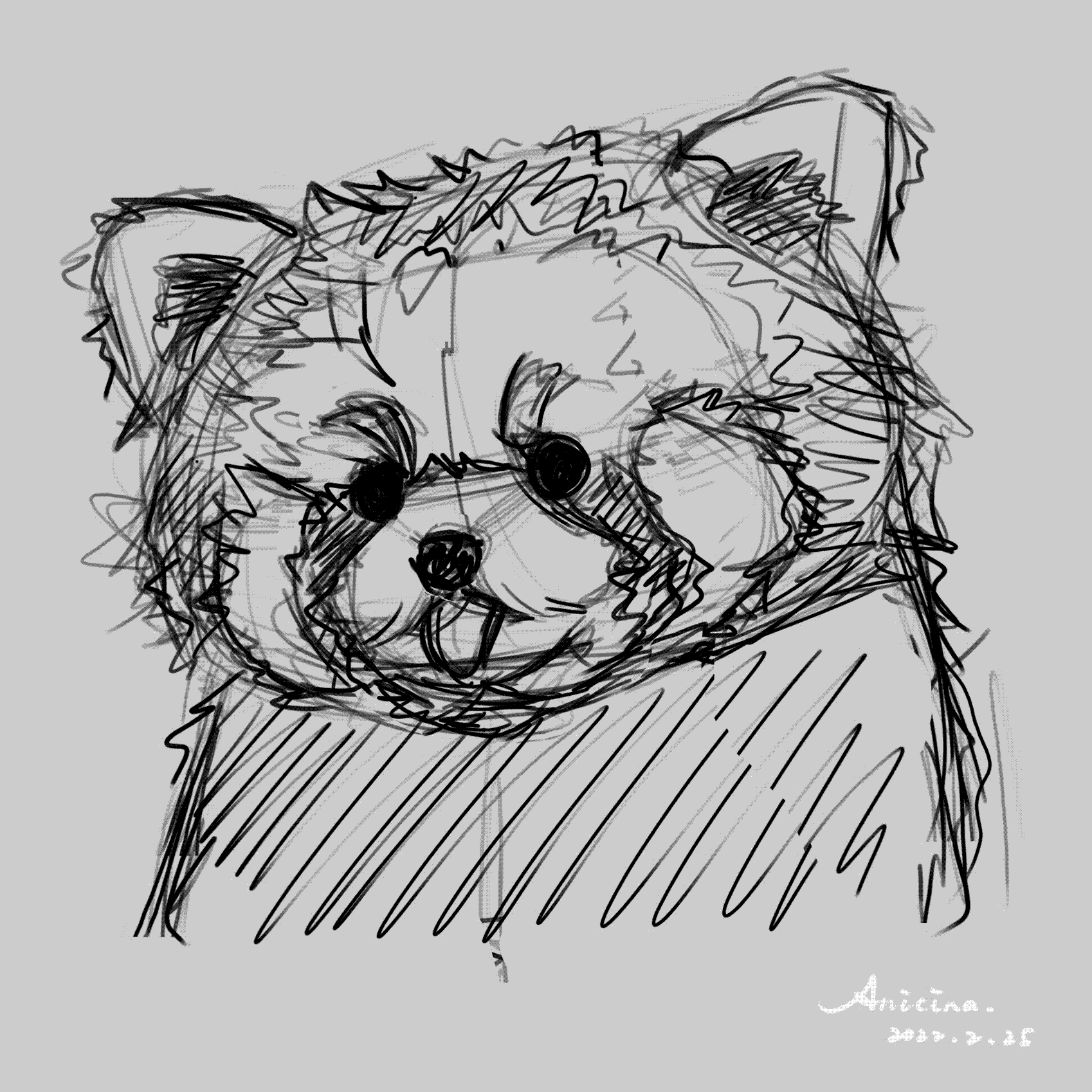 Anicina Zhou Red panda