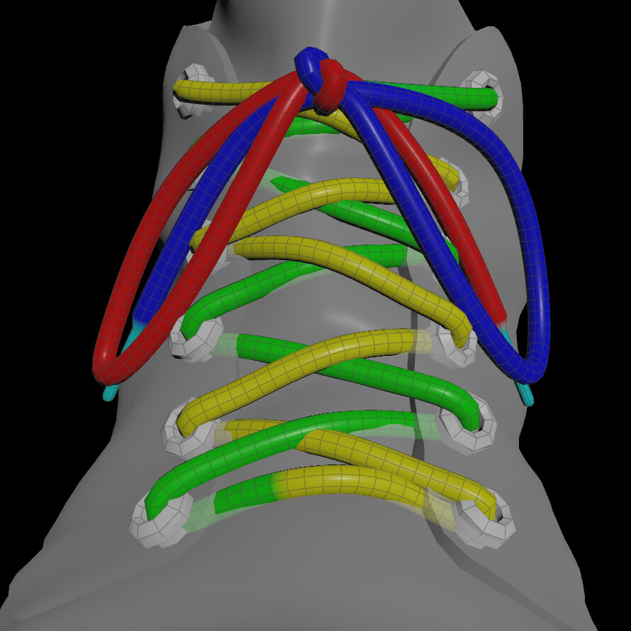 Shoe lacing system store