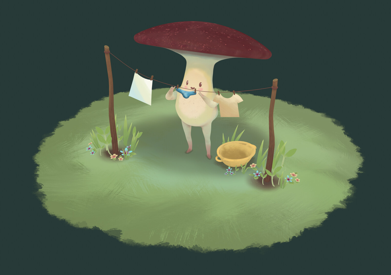 Mushroom's Laundry Day