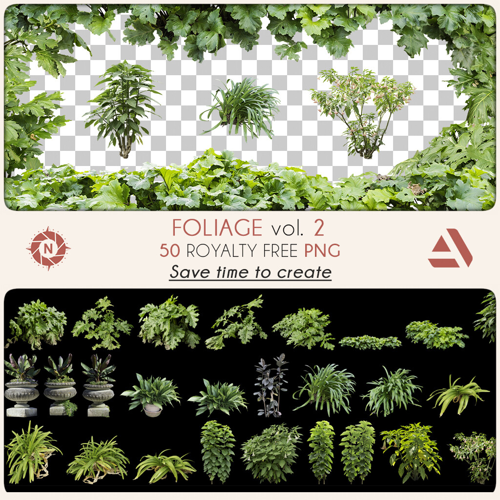 PNG Photo Pack: Foliage volume 2

https://www.artstation.com/a/16650698
