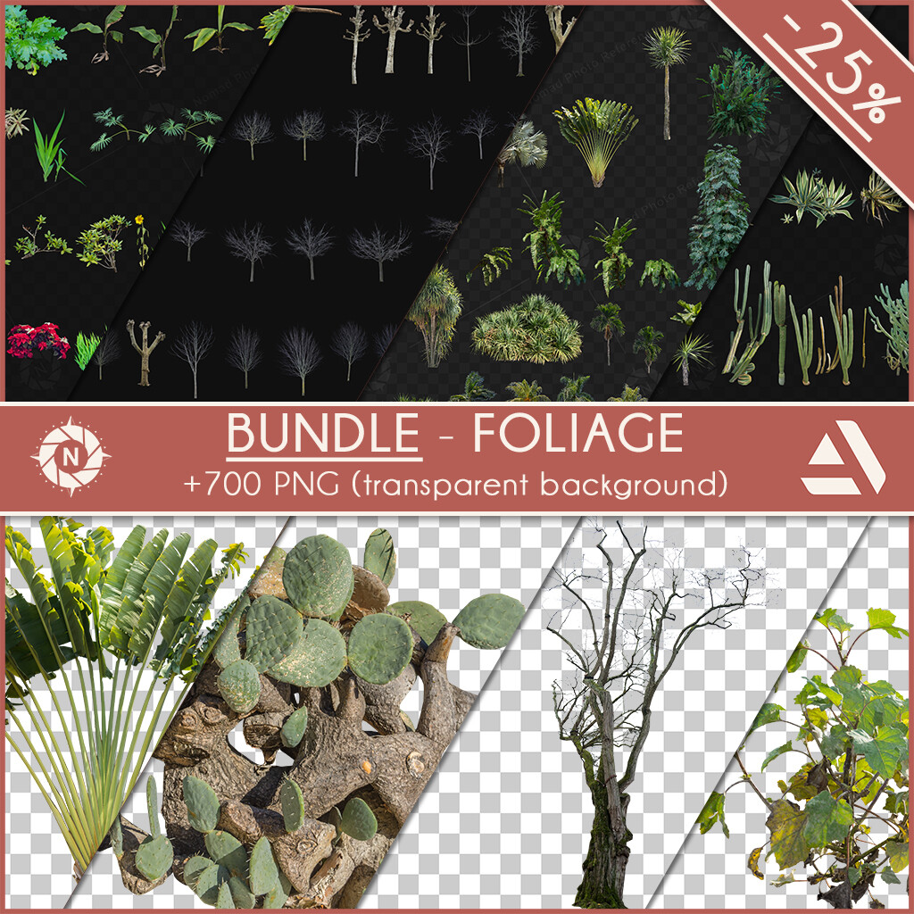Bundles PNG Cutouts + Photo Reference Packs Collection