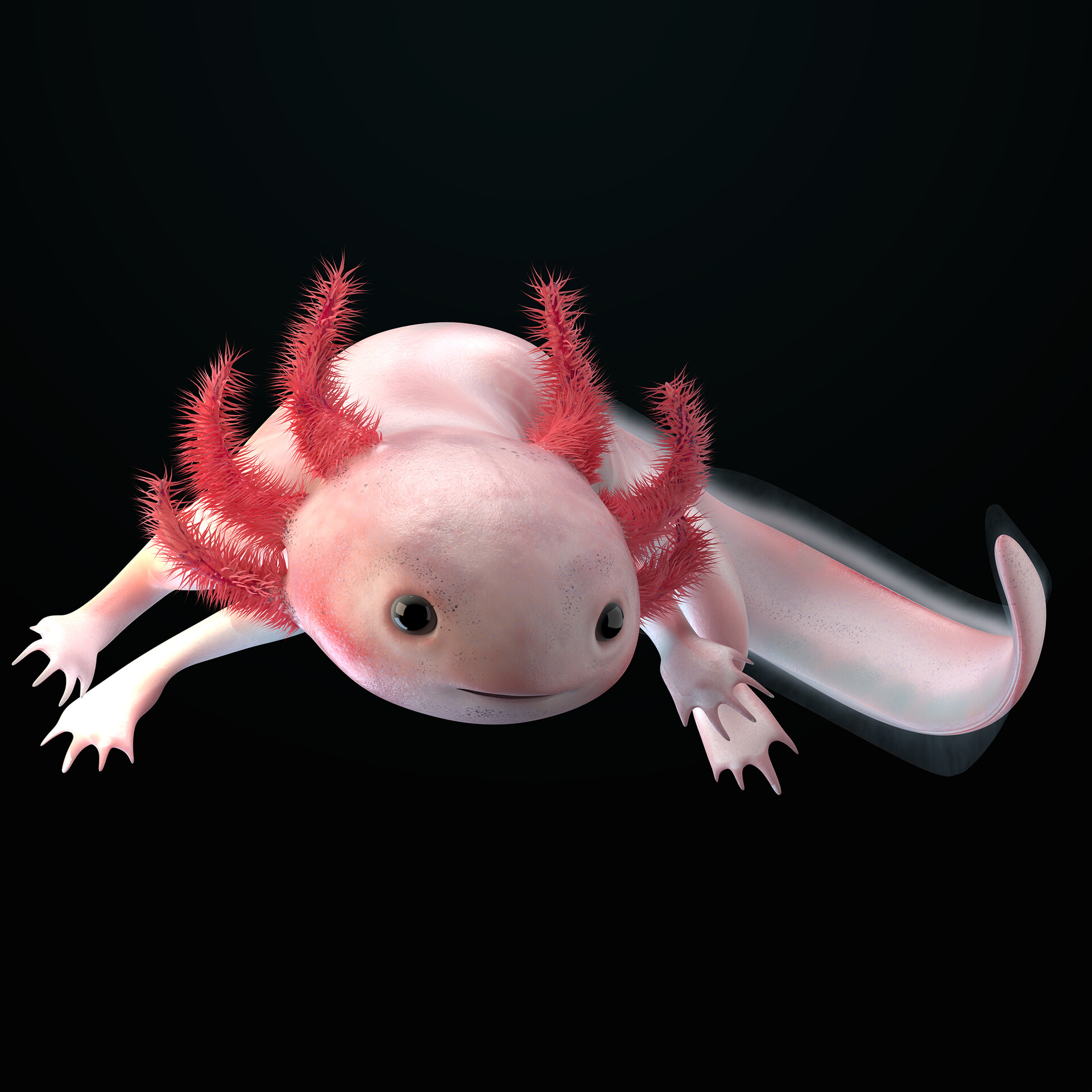 ArtStation - Axolotl - Water Monster
