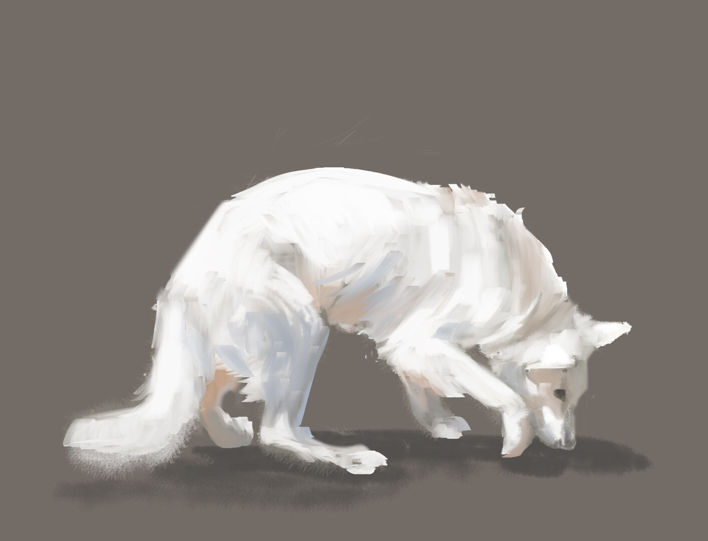 ArtStation - white dog