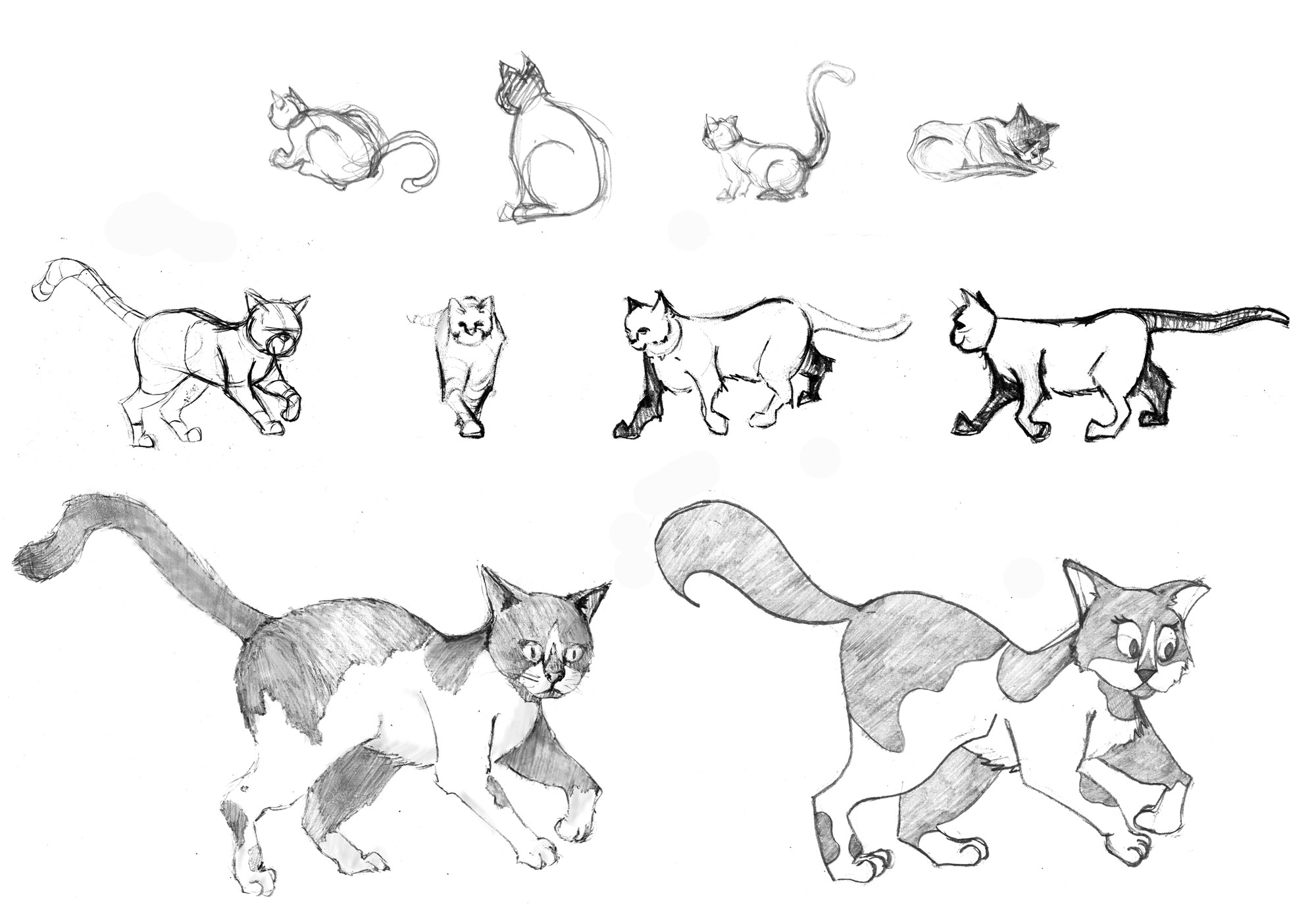 Cat character development/sketches (1/2).