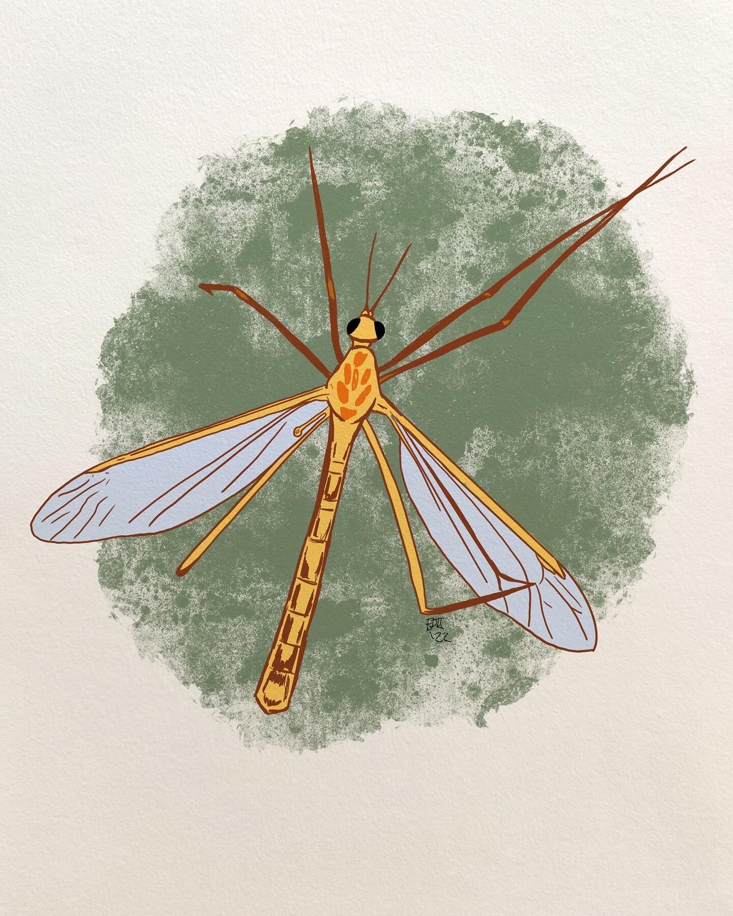 ArtStation - Junebug Day 4: Cranefly