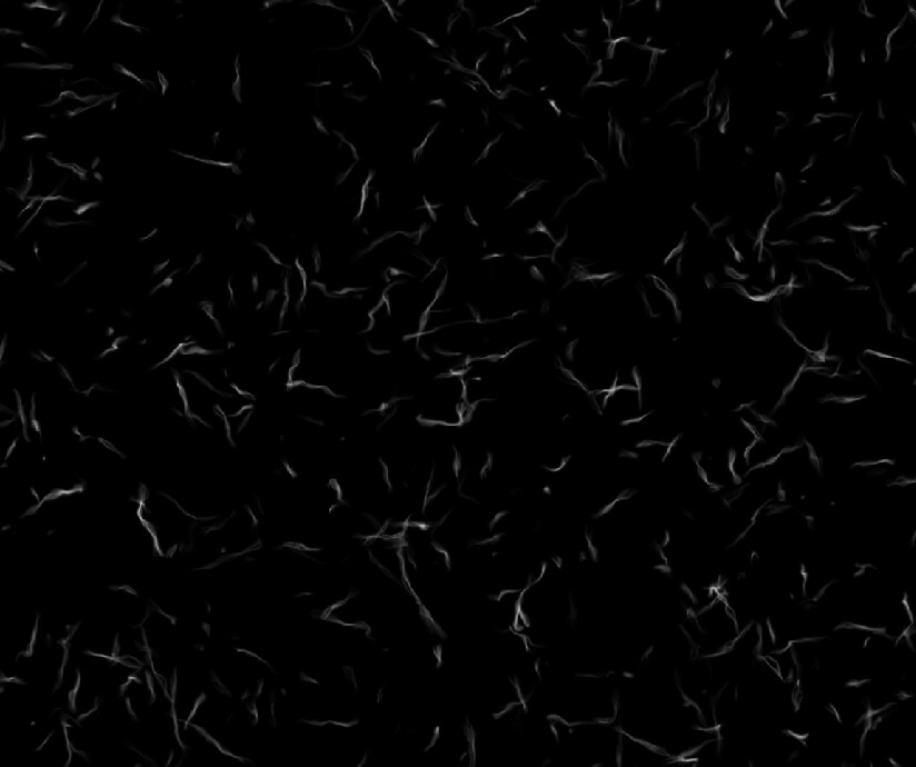Generator To Create Single Hairs