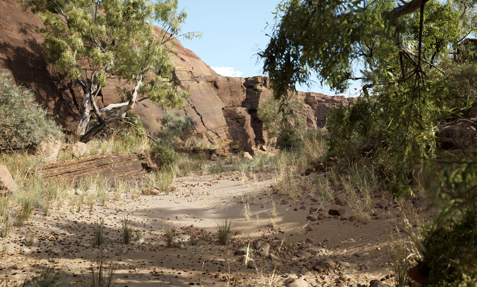 ArtStation Dry creek bed, Central Australian environment.