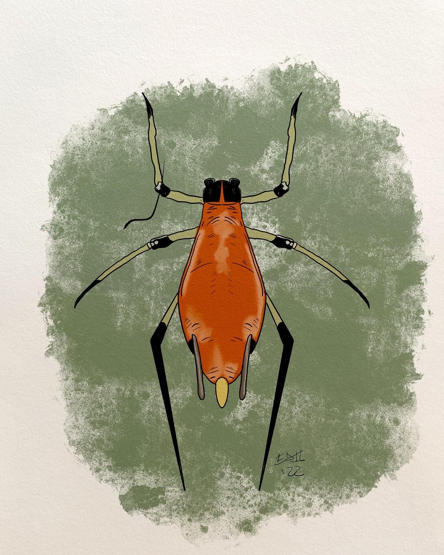 ArtStation - Junebug Day 14: Aphid