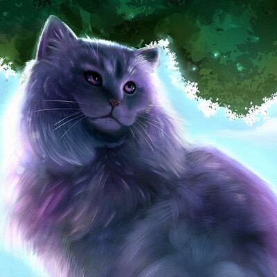 Ragdoll Cat Study - Outdoors