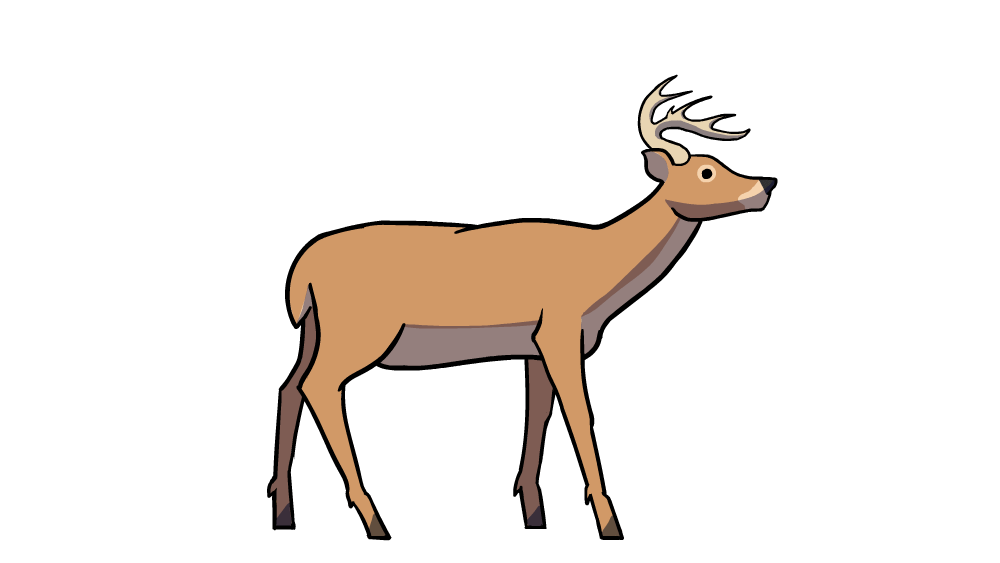 Animated Deer Clipart