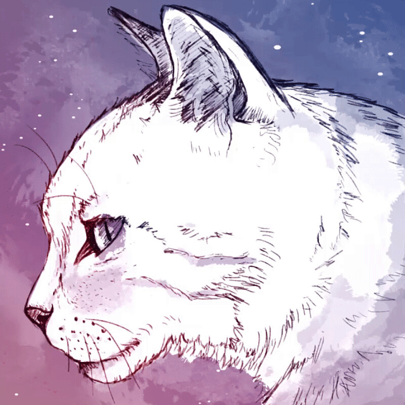 Felines 01 - cat in profile