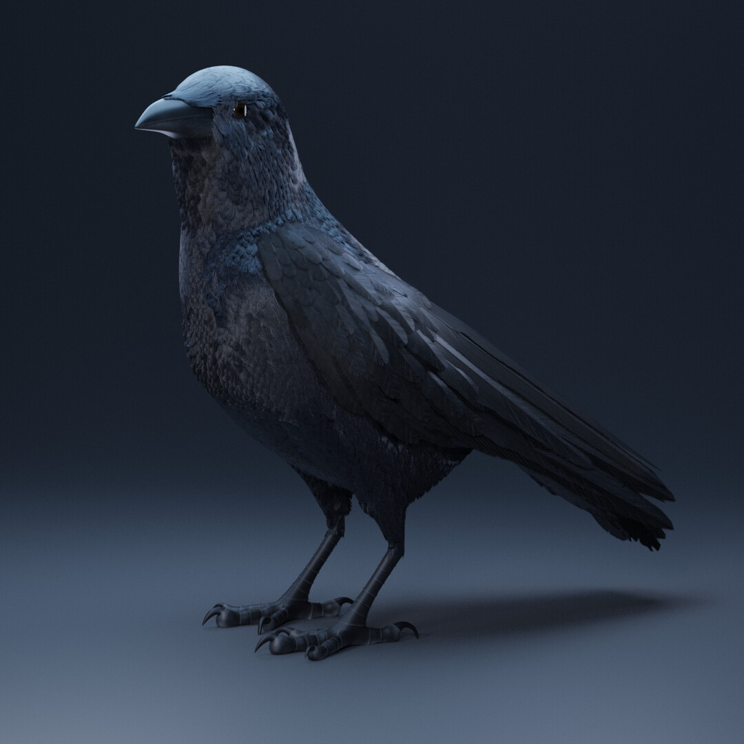 ArtStation - Crow
