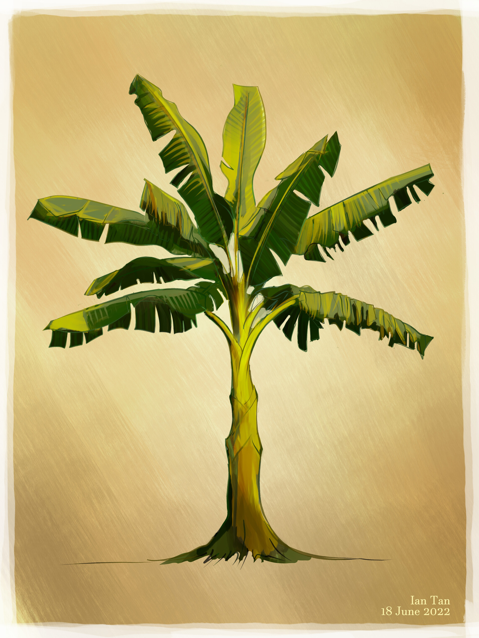ArtStation Banana Tree