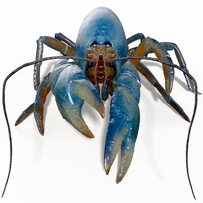 Eric keller crayfish render 04