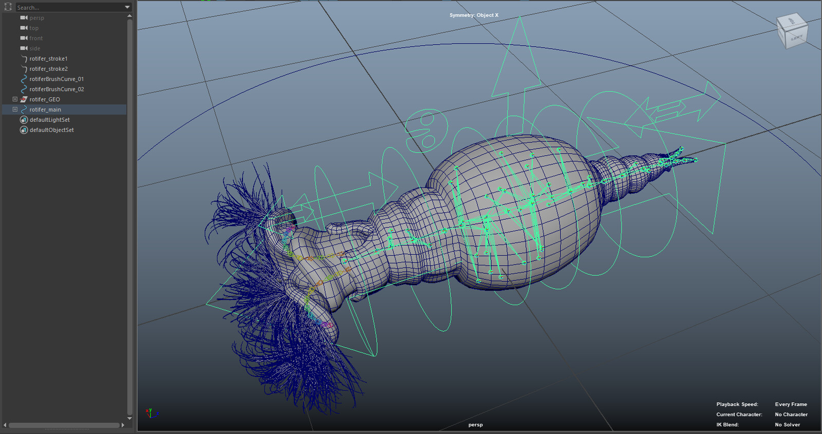 Screengrab of the rotifer and animation rig