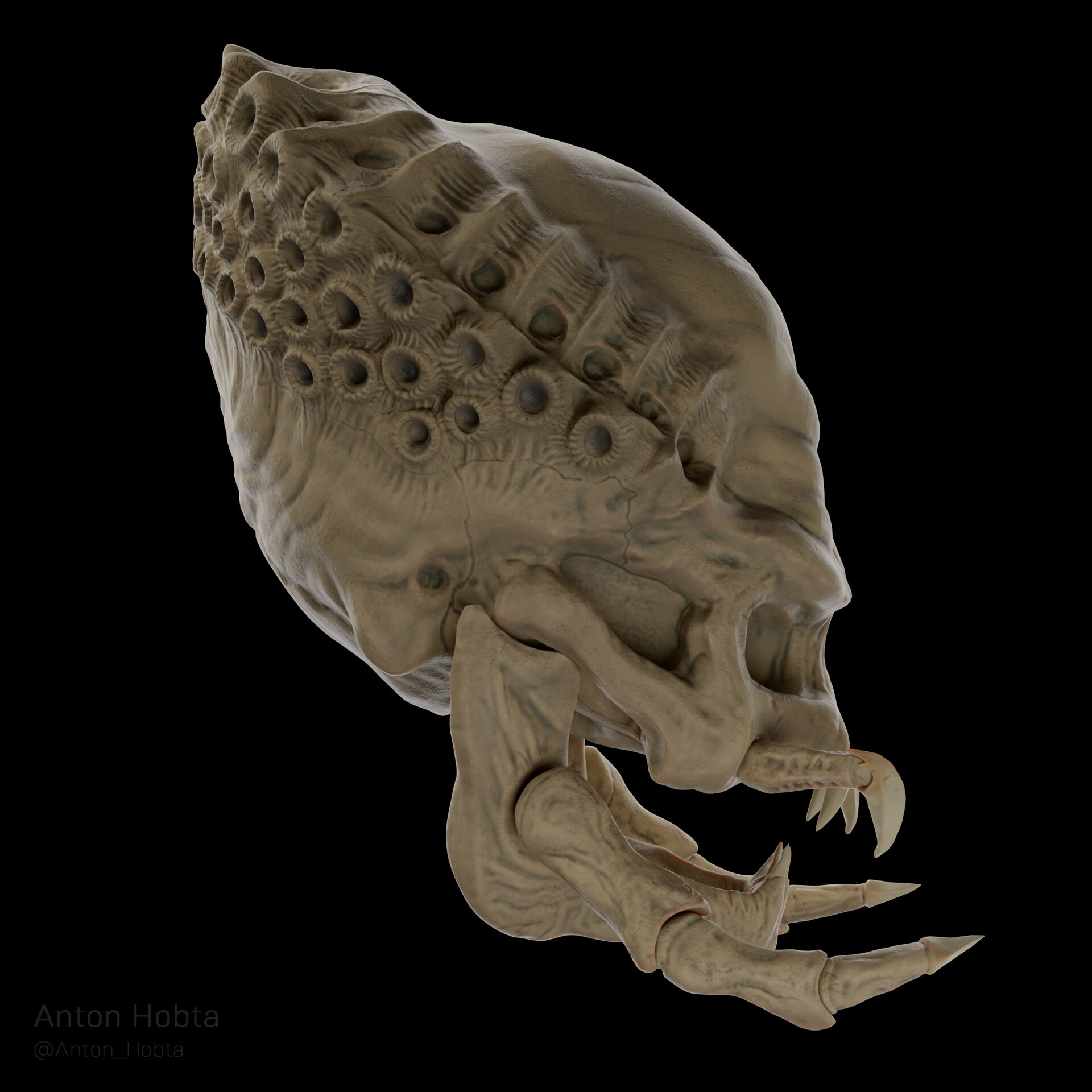 xenomorph skull in predator 2