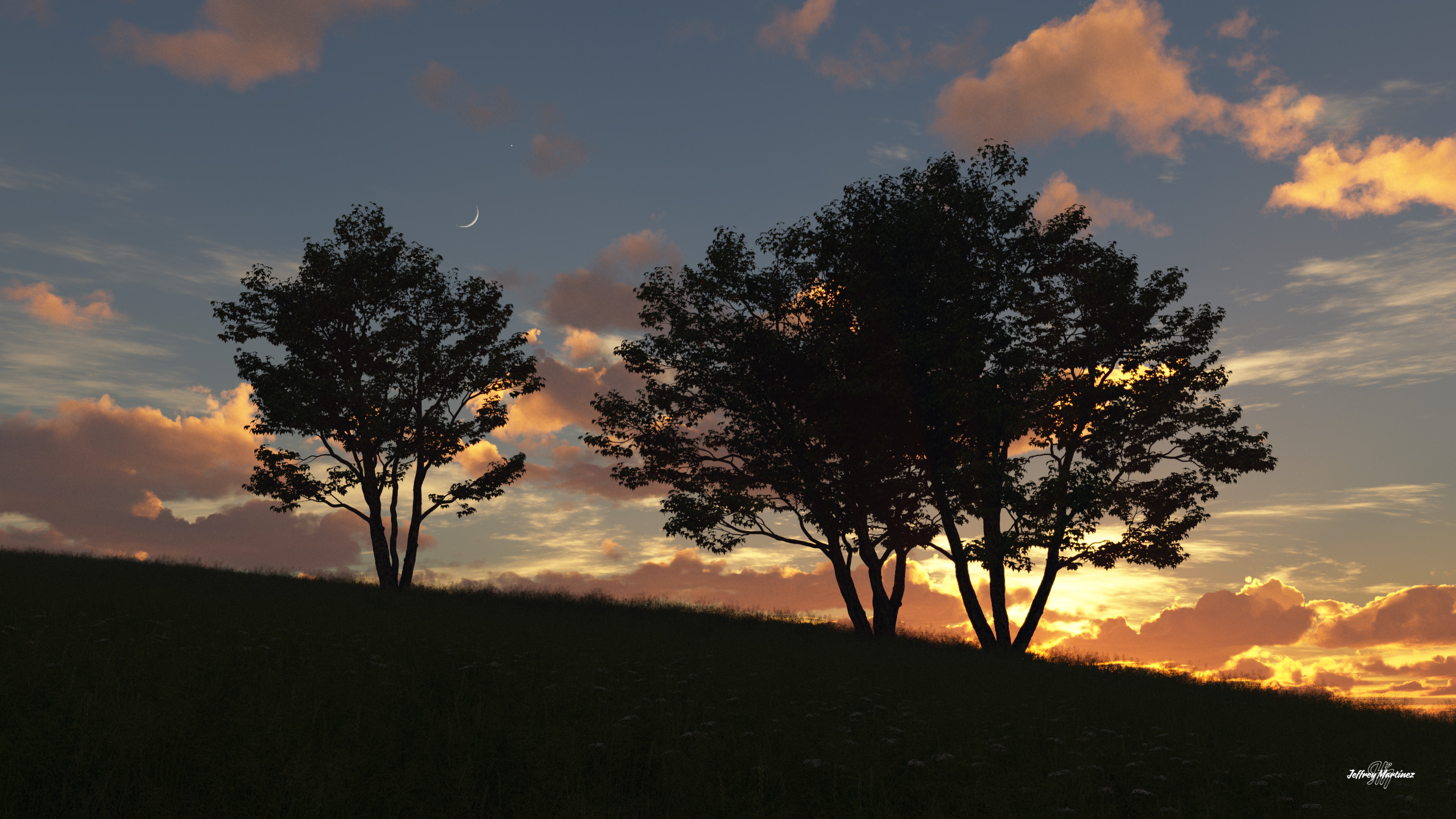 Trees on a Hill - Sunset
20220622TG