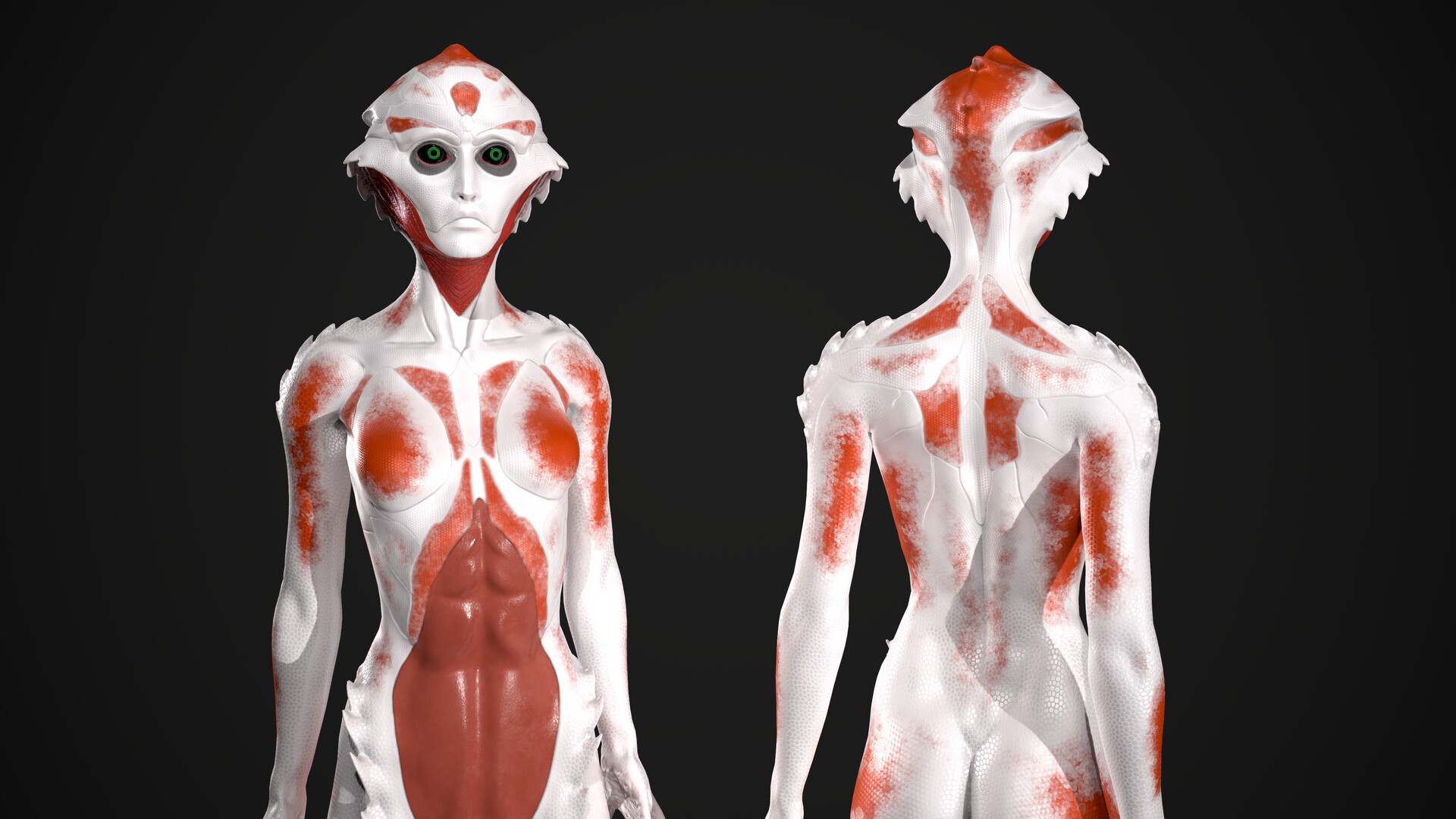 drell anatomy