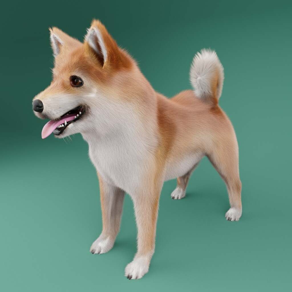 Kevin Lam Shiba