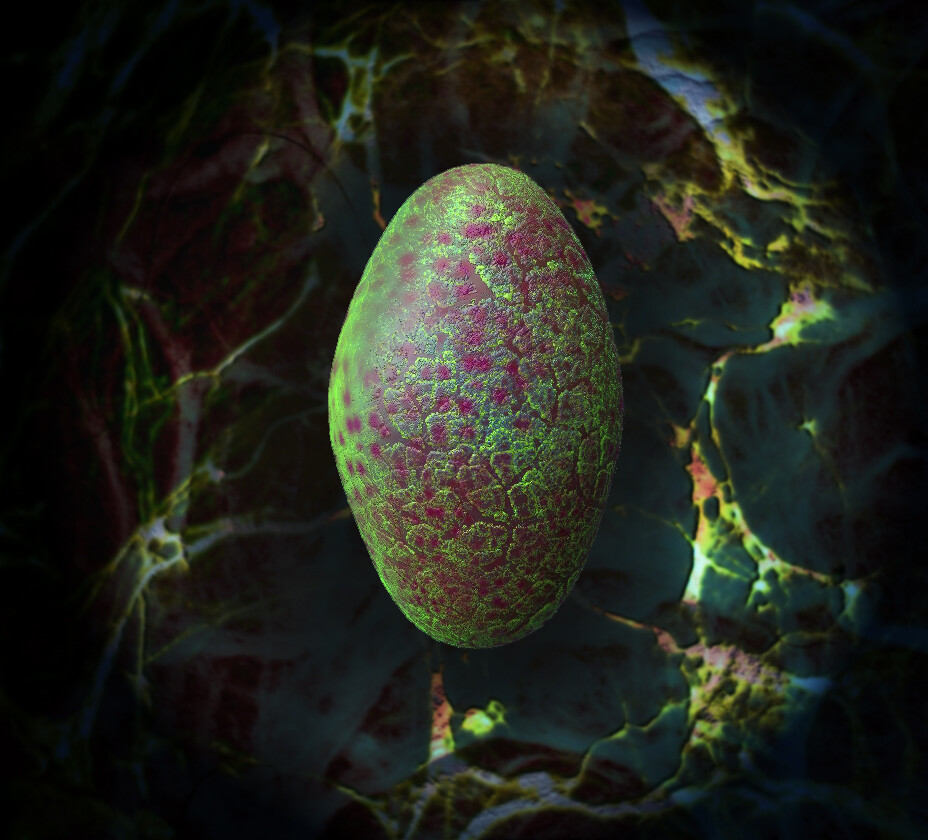 Nightwing Egg 