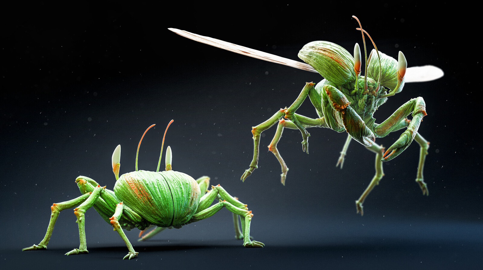 Crabeetle