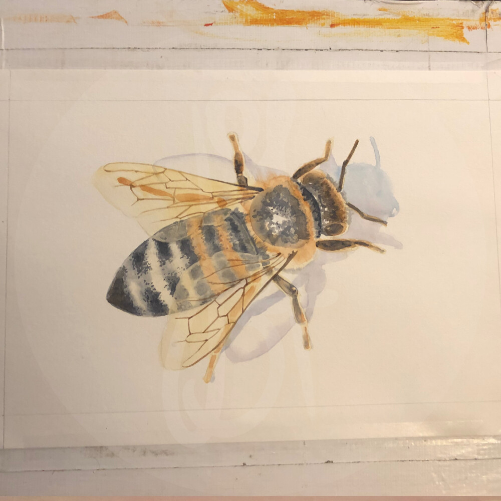added more wing details