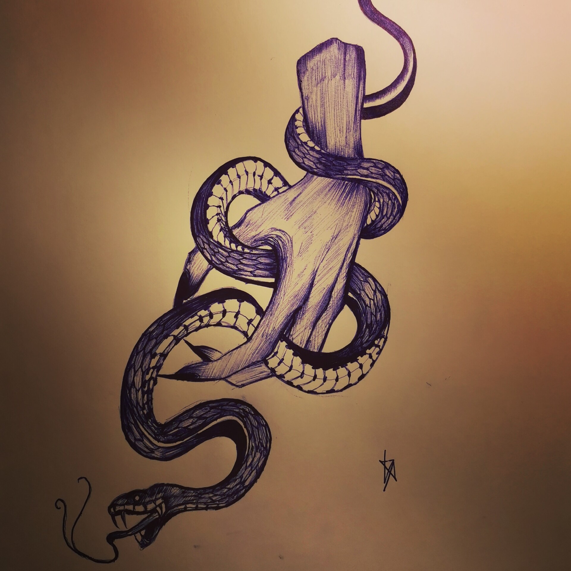 Sketch of a snake Royalty Free Vector Image - VectorStock
