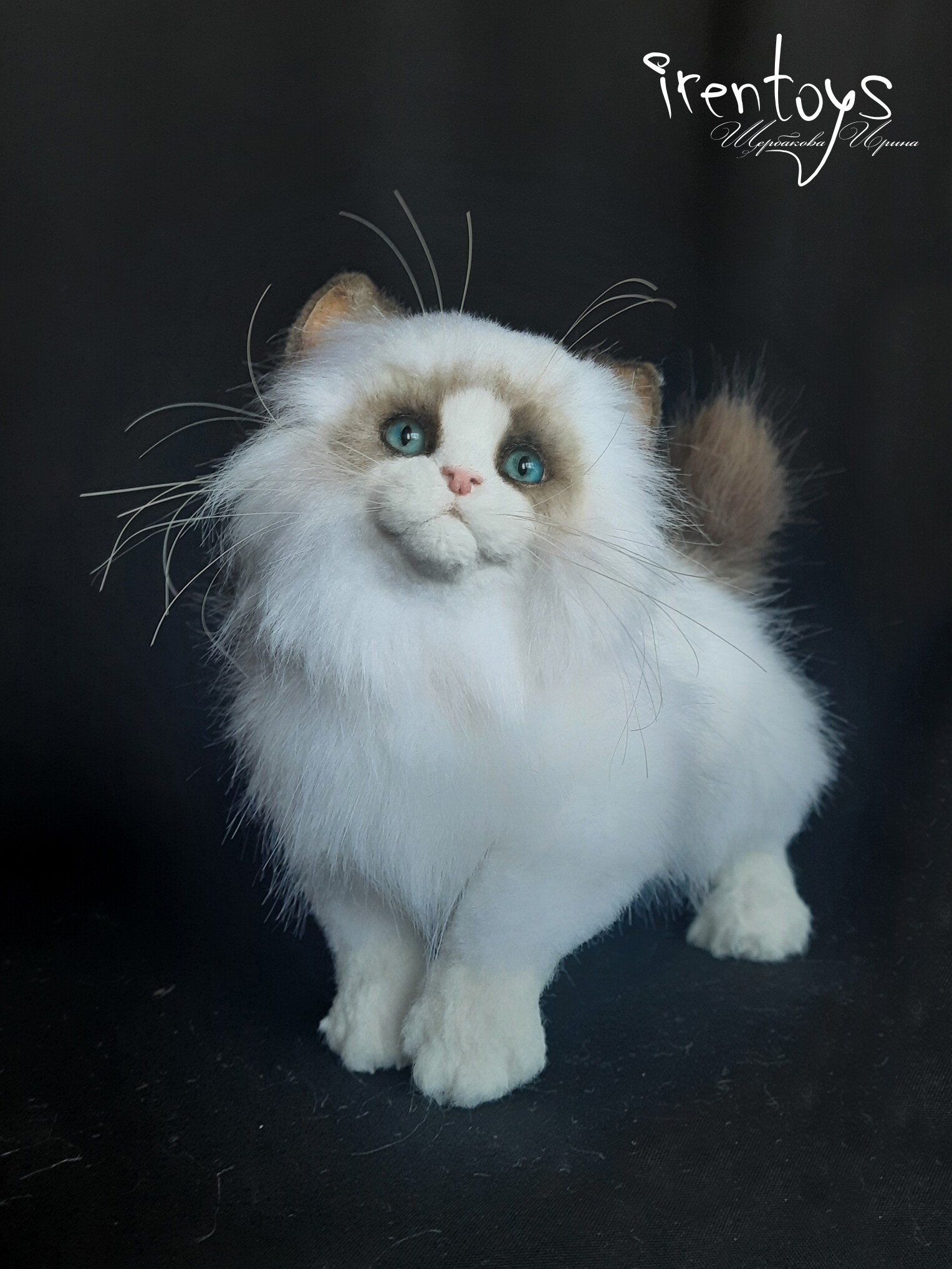 Ragdoll cat soft toy top