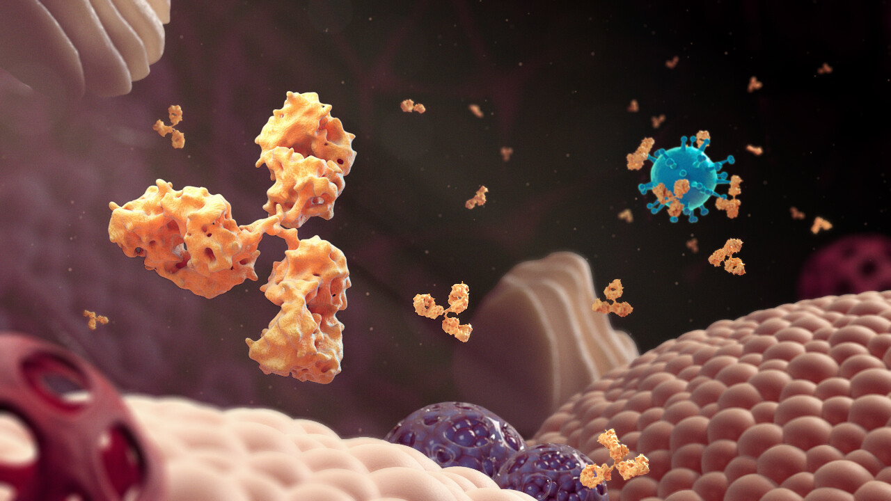 Antibody