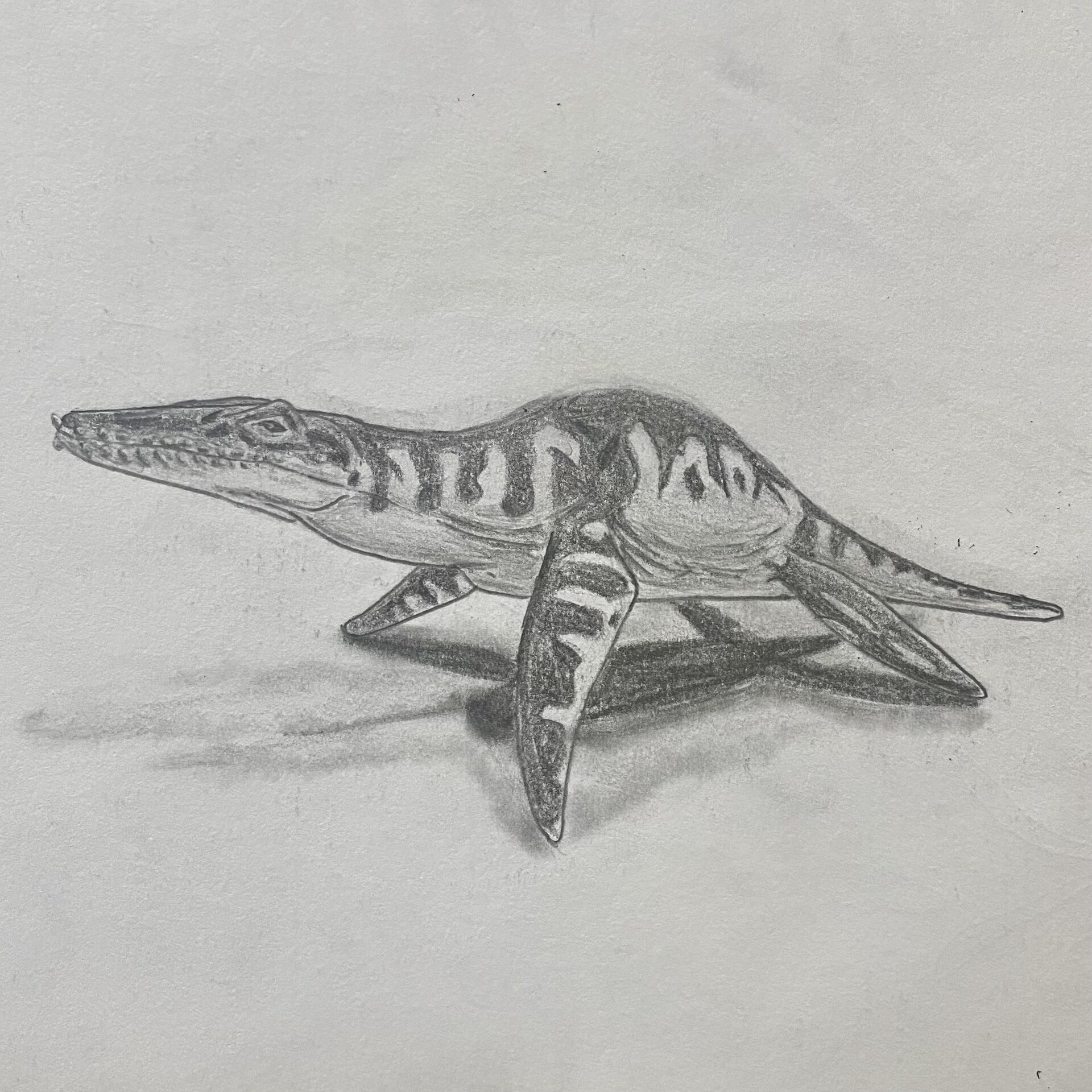 Artstation - Liopleurodon Figurine - Still Life Drawing