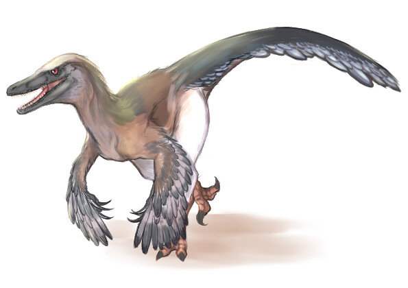 fat velociraptor
