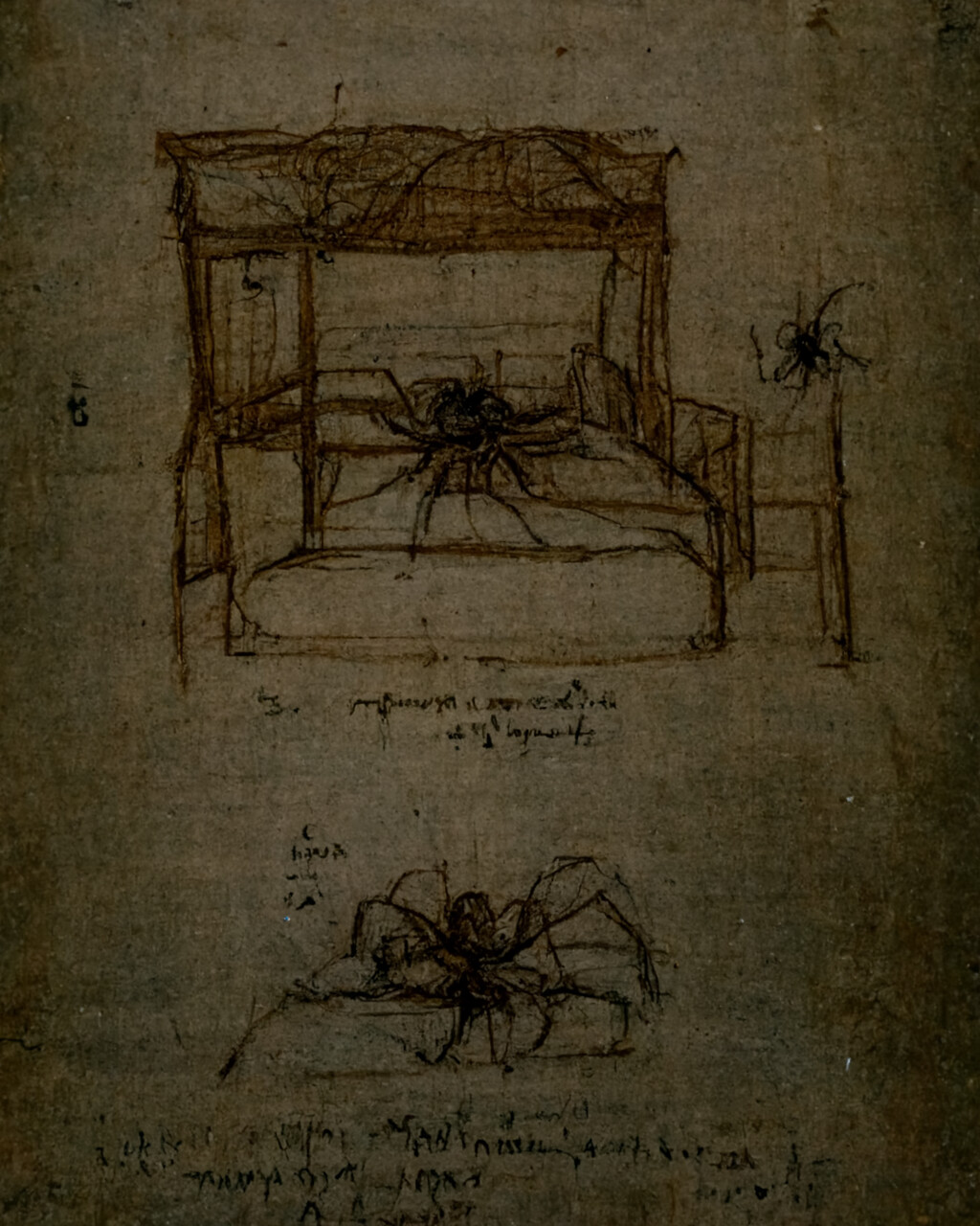 "I again counted, and this time the web was [gone]. In its place, a large spider. I counted its legs. Eight, then Seven, then Six. With each count, they disappeared. My eyes wander. I draw them back. 
Does my counting drive them away?"