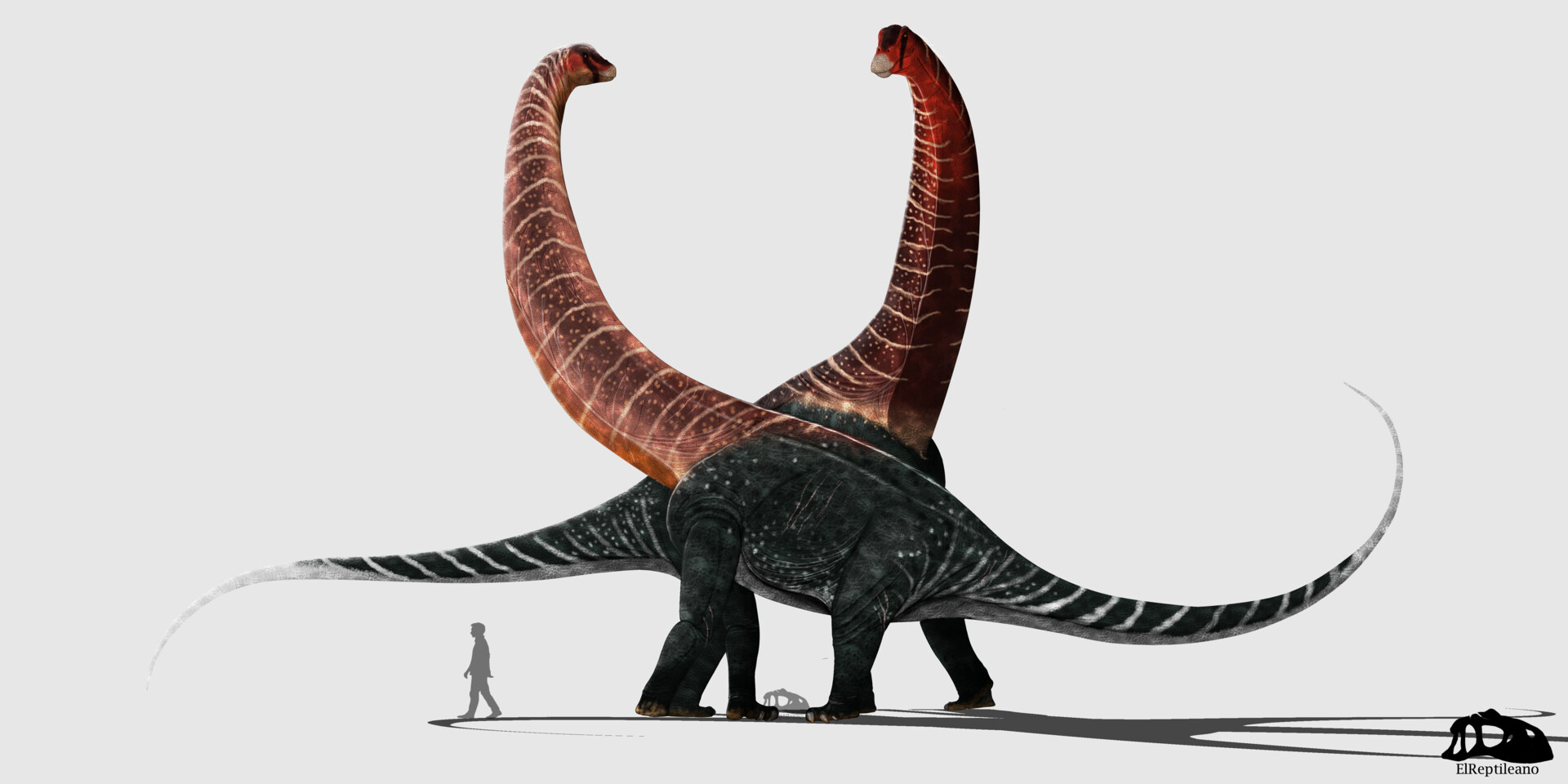 dreadnoughtus