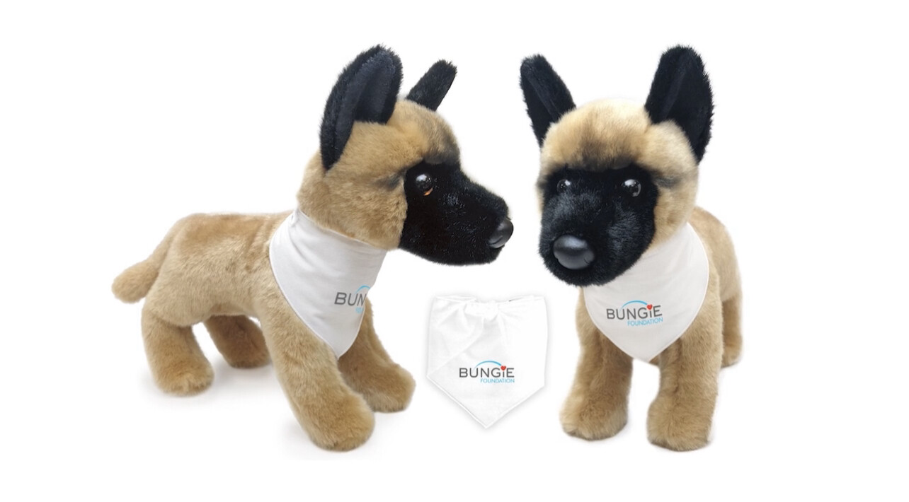 The Artemis plush, based off of the dog/emote, available in the Bungie Store with all proceeds going to charity.