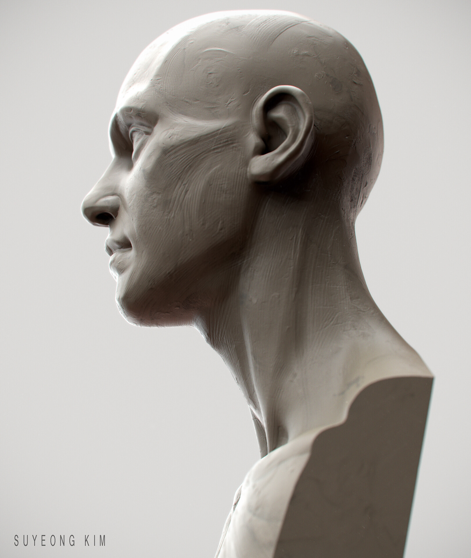 ArtStation - Female Anatomy Bust