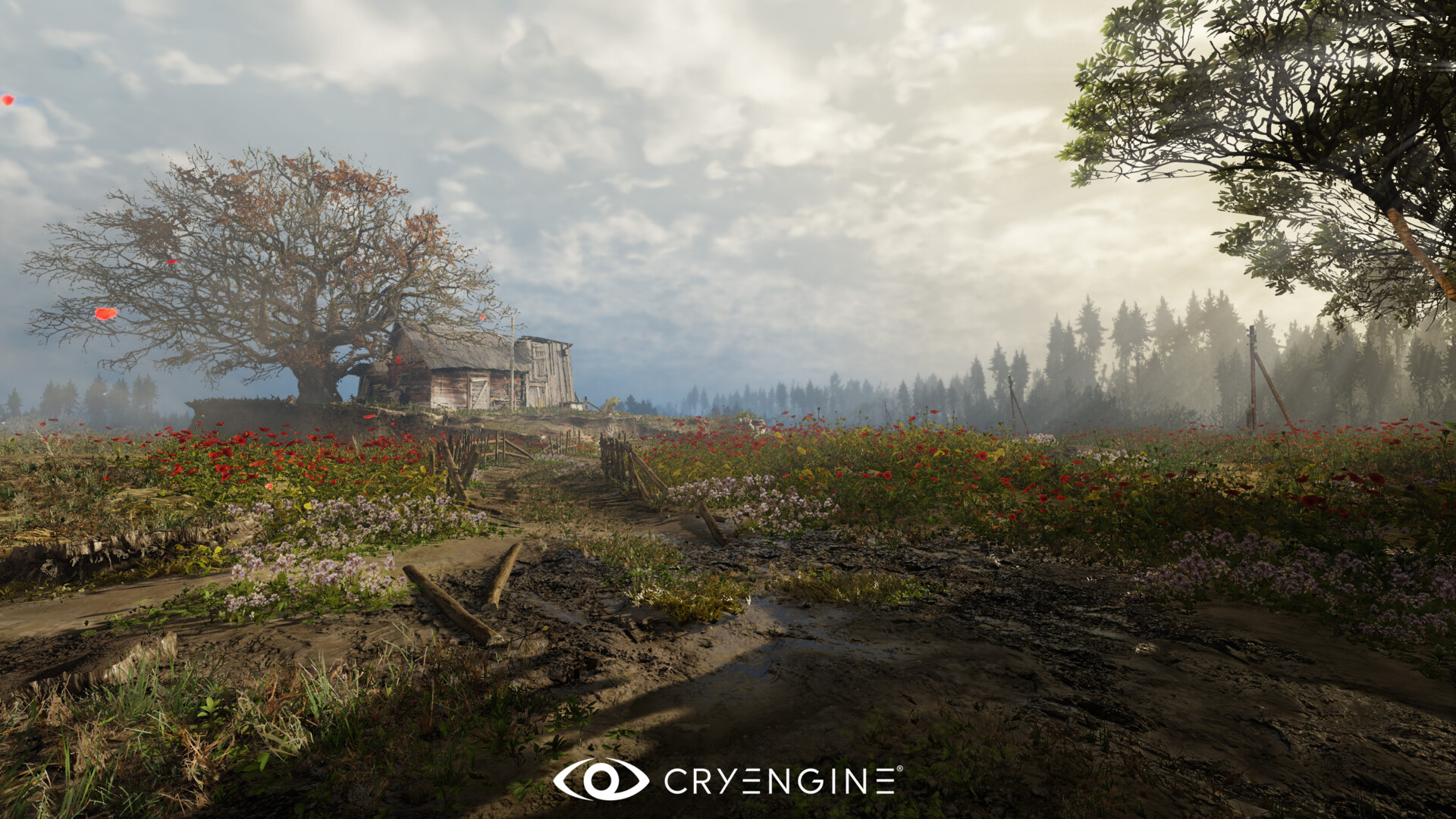 ArtStation - Anomaly meadow