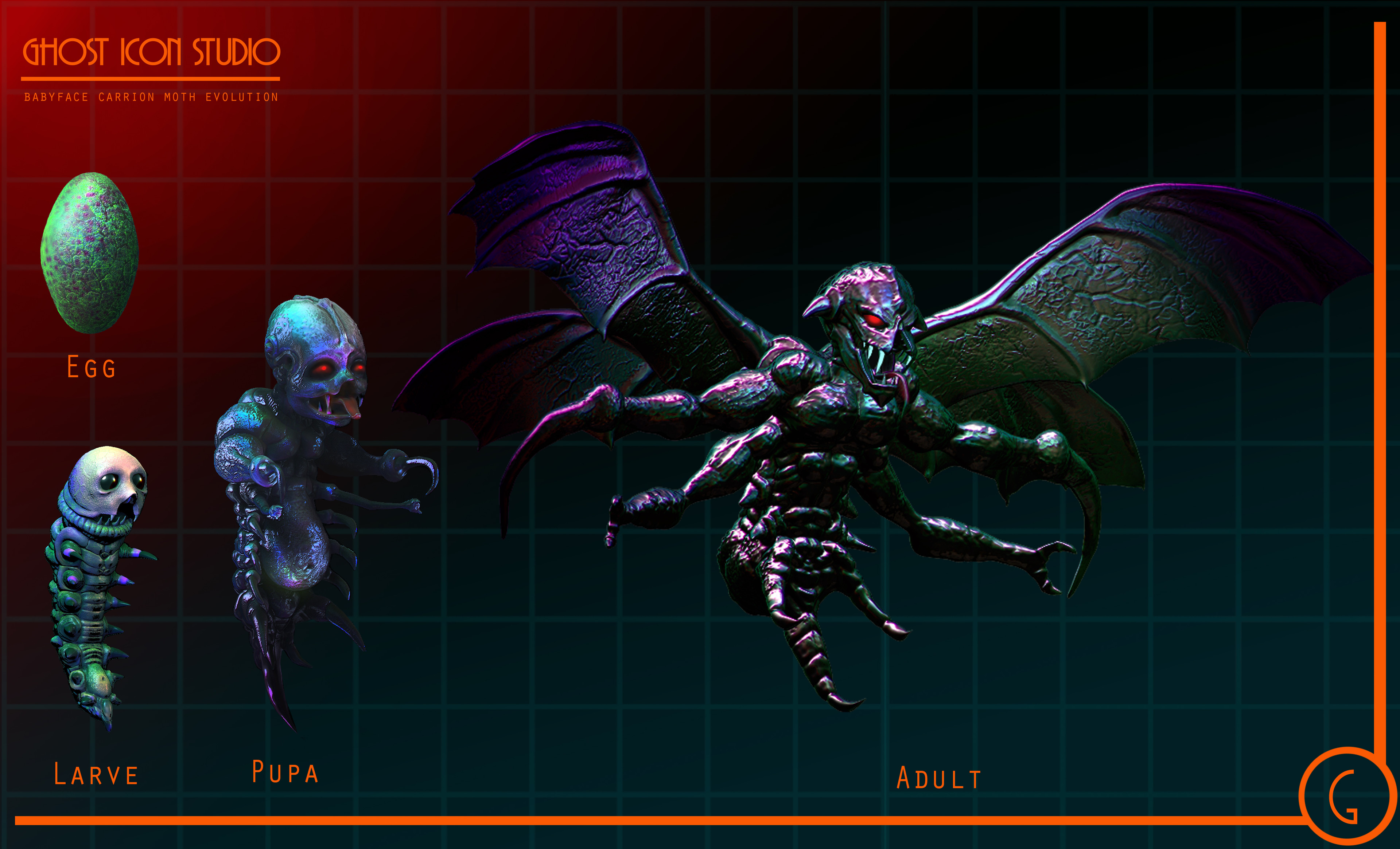 Life Stages of the Carrion Moth.